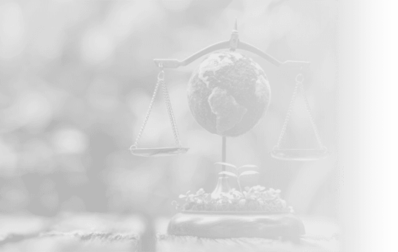 background expertise